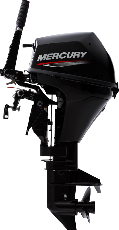 Mercury Motor Fueraborda F 8 EL EFI Eje Largo Arranque Electrico Mando Distancia - imagen 3